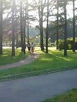 24 pictures - Cameltoe upskirt gallery