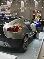 19 pictures - Girls in tiny shorts look great near the luxurious cars