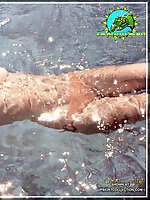 Upskirt pictures - Classic nude Bridgette Bardot