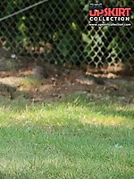 Upskirt pictures - Beach voyeur cam spying hot bikinis