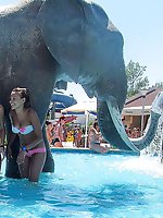 Upskirt pictures - Cute bikini models walk on the beach