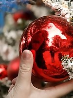 8 pictures - Skye Blue Has Silver Bells II