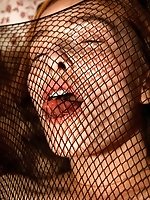 Upskirt pictures - Jia Lissa In Mesh Tards
