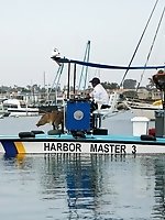 Upskirt pictures - Jeni Kessler Harbor Masters